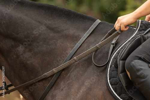 Foto Horses rein being held in the hand of a horse rider while out riding