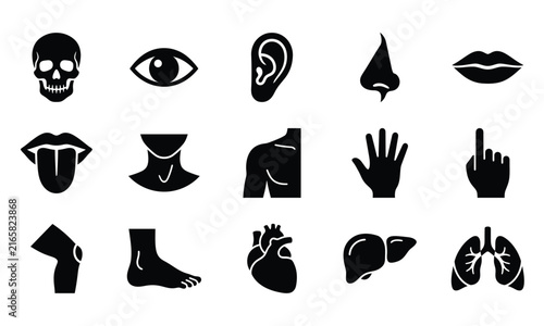 Set of black and white human anatomy icons representing various body parts and internal organs for medical design