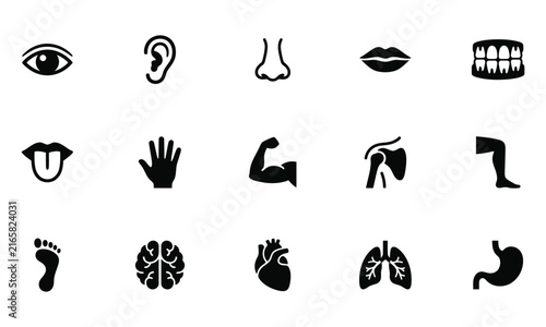 Educational chart showing various human body parts and internal organs with simple black and white icons