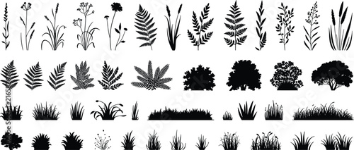 Foto Assorted collection of black silhouettes featuring wild grasses, ferns, bushes,