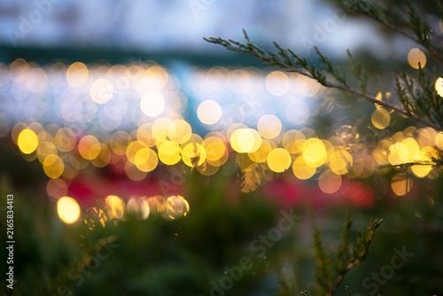 Cuadro en lienzo Christmas lights on roof of building are out of focus