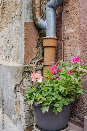 Canvas Print Altes Gebäude mit Blumenschmuck