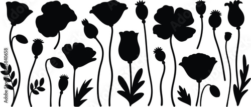 Set of black silhouettes of poppy flowers, buds, and leaves, isolated on a white background, botanical for floral arrangements and nature