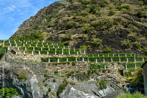 фотографія Scenic landscape of terraced vineyards on steep rocky mountainside under a blue