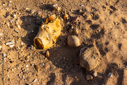 Bild auf Leinwand Chipped flint nodule with a textured crust lying on a sunny gravel quarry floor