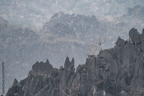 Canvastavla A Laotian Langur in the Karst Mountains in Laos, Asia.