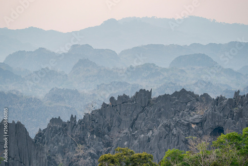 Konstfotografi A Laotian Langur in the Karst Mountains in Laos, Asia.