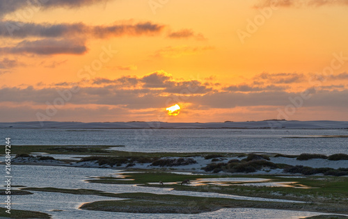 Canvastavla Grazing Livestock on Marshy Sand Flats, Lençóis Maranhenses