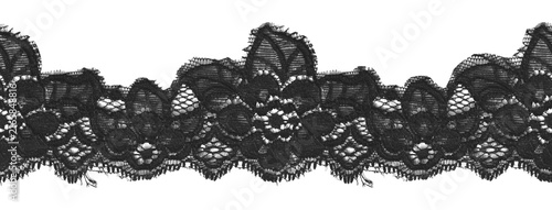 Konstfotografi Black Seamless Lace Border Transparent Floral Dark Coquette Vintage Botanical Te