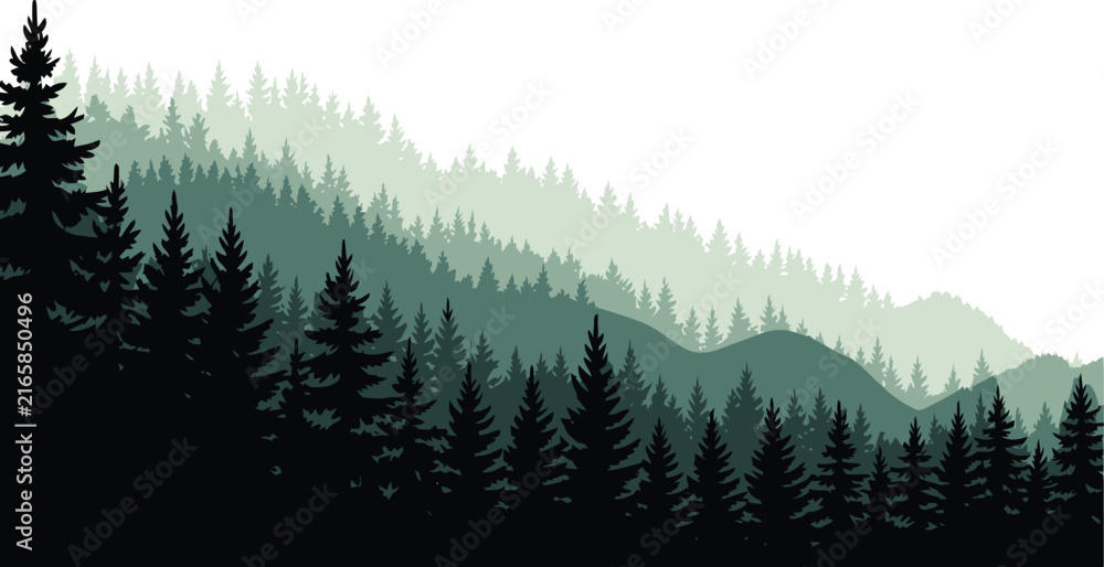 Fototapeta premium Evergreen pine tree forest silhouette slope illustration with layered green mountains and white space coniferous woods mountain slope nature landscape silhouette landscape coniferous evergreen