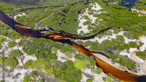 Cuadro en lienzo Winding Brown Water Channel Through Vegetated Wetlands in Lençóis Maranhenses, B