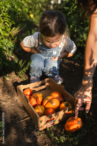 Sunlight falls warmly on a child's curious face
