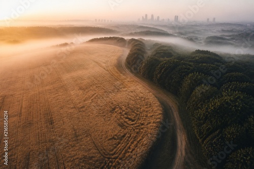 Golden light washes over misty fields at dawn. Curving dirt road winds through dense green trees. Urban skyline glows softly in distant haze. Warm hues suggest early morning stillness and peace