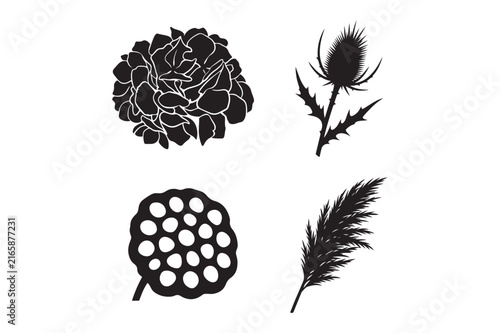 Assorted botanical flowers and plants graphic collection with botanical