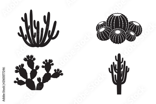 Desert cactus plants and succulent vegetation collection with succulent