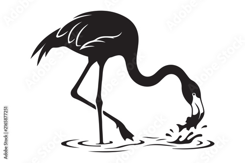 Flamingo bird wading in water and catching a fish with flamingo