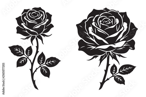 Blooming roses with stems and leaves vector graphic illustration
