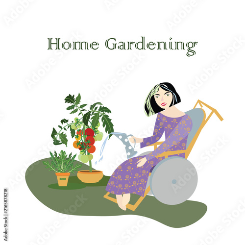 Woman in wheelchair watering  tomato, arugula in pot from a jug. Black hair woman in romantic yellow flowering violet dress. Inclusive design stock vector illustration healthcare,  home gardening for 