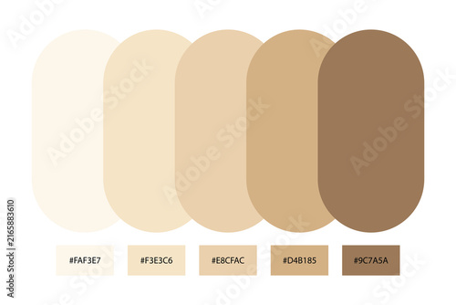  Neutral beige color palette with hex code 