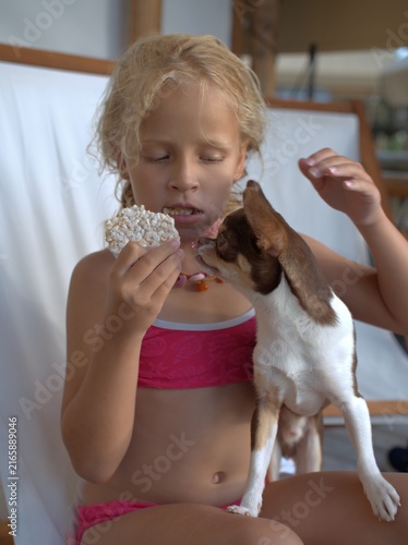 Konstfotografi Girl holds a puffed rice cake to her mouth while a chihuahua on her lap sniffs a