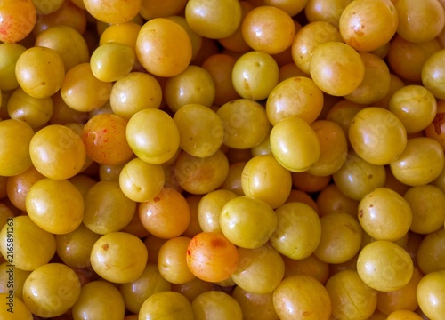 Canvastavla Yellow cherry plums tightly packed together to create a vibrant natural fruit ba