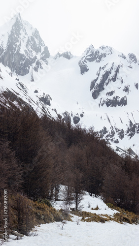 Fototapeta patagonia