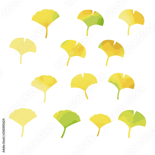 水彩風のイチョウの葉イラスト素材セット/ Watercolor Autumn Ginkgo Leaves Vector Set