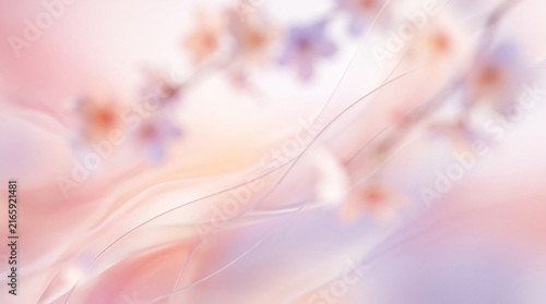 abstract spring gradient background with soft floral elements and smooth translucent waves