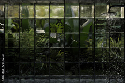 3d Rendering of a modern shower room with glass cubes wall and rainforest plants