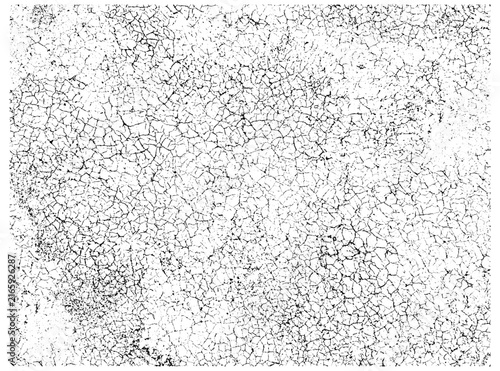 Cracked grunge texture with dense fine fissures and gritty distressed surface detail. Monochrome vector backdrop for weathered, aged and broken graphic effects.