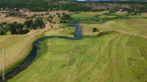 Aerial Drone View of Cetina River Spring and Green Landscape Near Civljane, Croatia