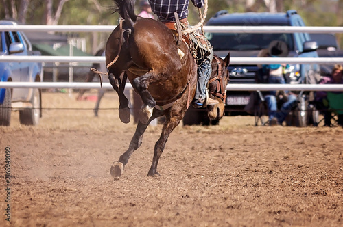 Fotografía Cowboy Riding Bucking Horse