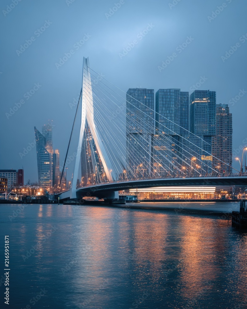 Fototapeta premium Erasmus Bridge and Rotterdam Skyline at Dusk