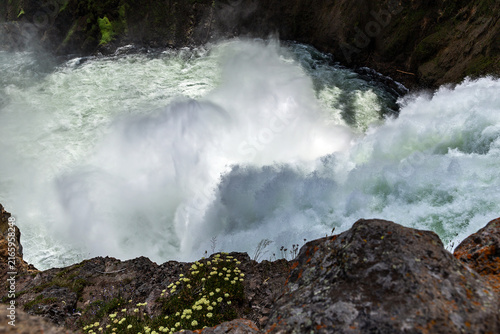Foto Misty Spray Rising from the Brink of the Lower Falls with Wildflowers, Grand Can