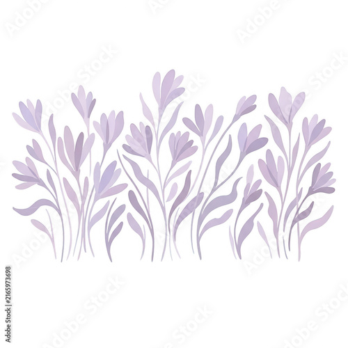 Ilustración botánica de flores de lavanda en tonos pastel sobre un fondo blanco, diseño floral elegante y minimalista ideal para tarjetas de felicitación, invitaciones y decoración de interiores.
