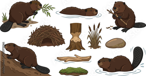 Bild auf Leinwand Cute beaver wildlife illustration collection featuring swimming, tree gnawing, l