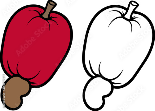 Cashew fruit illustration icon in line art style and colored, coloring page for kids