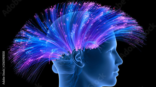 Vivid Brain with Pink Neural Pathways Captivating Image for Advertising and Promotion