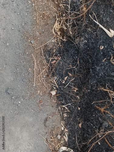 Fotografía Charcoal ash from twigs left over from burning on dry land, be aware that the dr