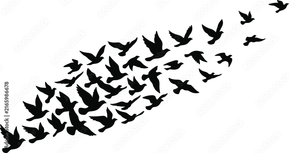Fototapeta premium Flock of black bird silhouettes flying diagonally in formation isolated on white background, freedom nature vector illustration