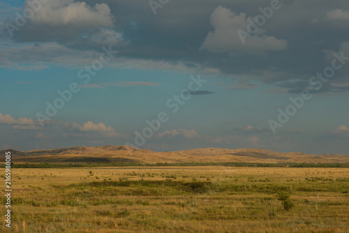 Cuadro en lienzo Vast steppe landscape under dramatic sky in East Kazakhstan countryside