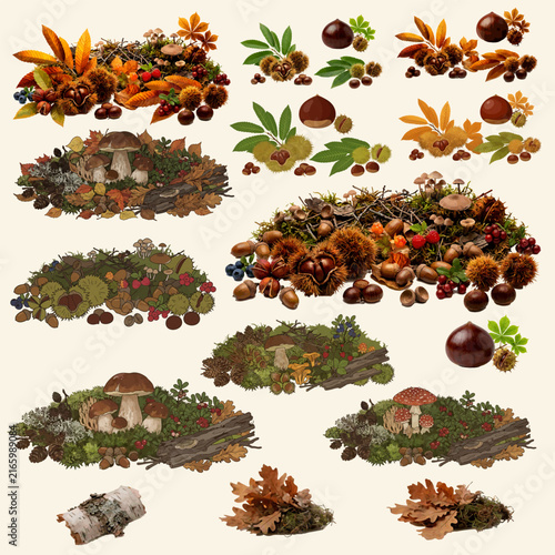 Collection of autumn forest compositions with mushrooms, chestnuts, acorns, moss, leaves, branches and woodland elements.