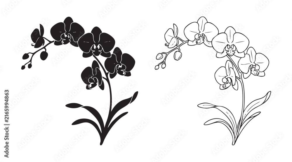 Fototapeta premium orchid branch vector icon silhouette with outline art, a floral design element silhouette silhouette with outline art vector icon