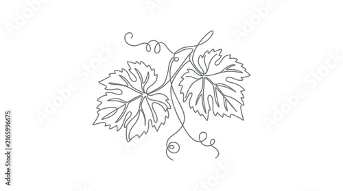 Continuous line drawing of a grapevine with two leaves