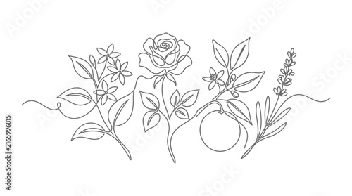 Continuous Line Drawing of Assorted Botanical Flowers and Herbs