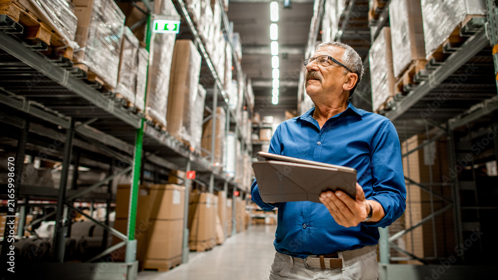 Fototapeta premium Warehouse manager inspecting inventory photo