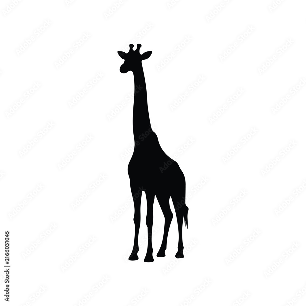 Fototapeta premium Giraffe animal Silhouette isolated white background