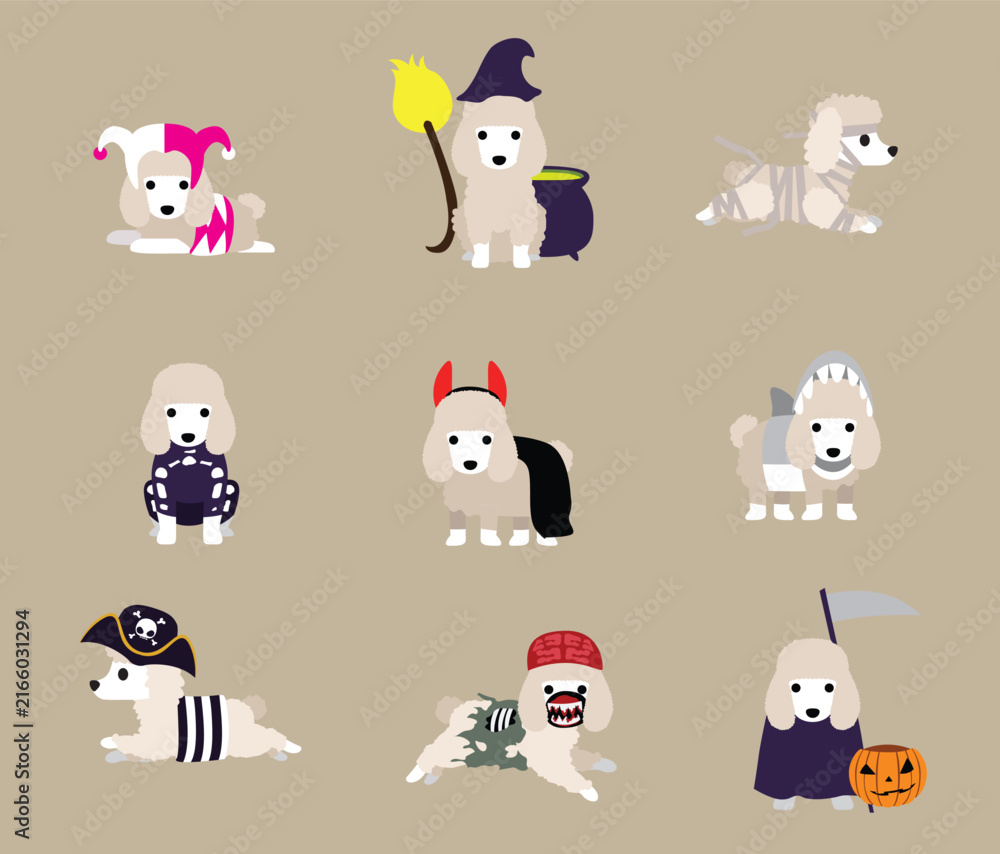 Naklejka premium Dog Poodle Halloween Costume Set Cute Cartoon Vector
