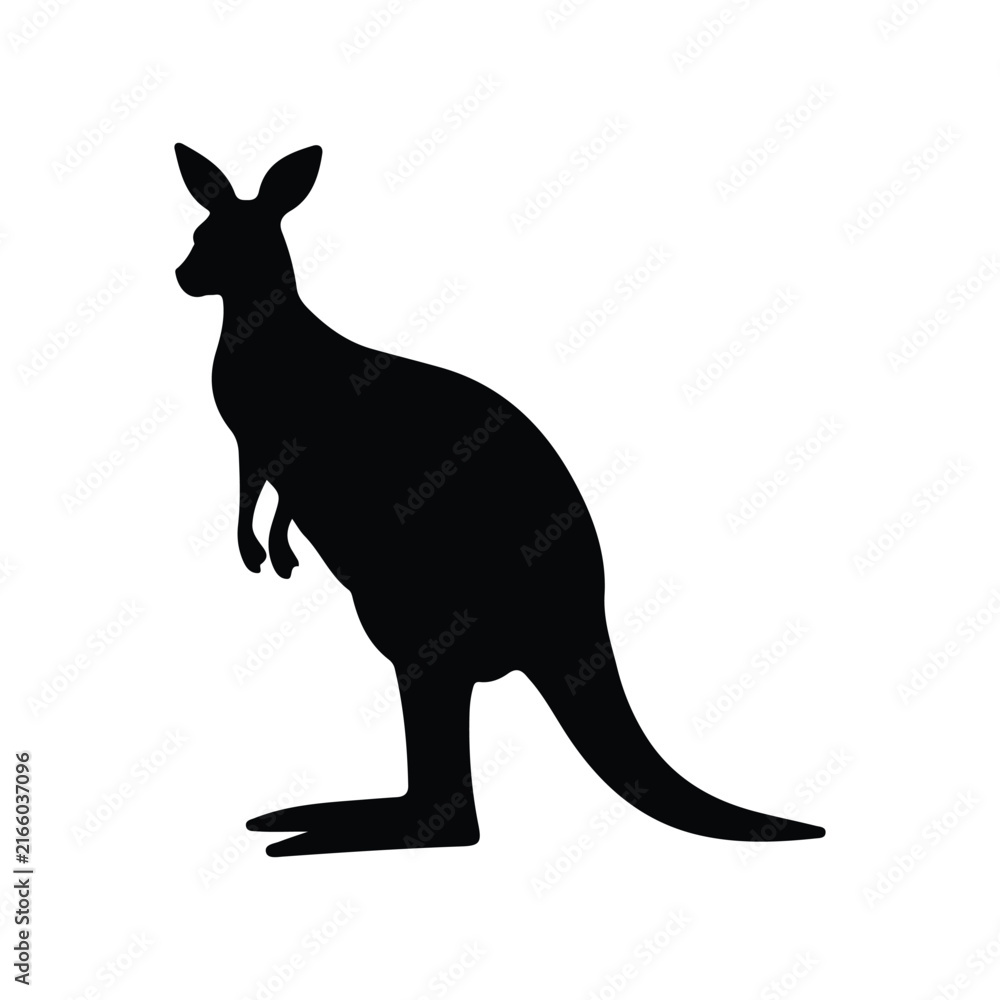 Fototapeta premium Kangaroo Silhouette vector on white background