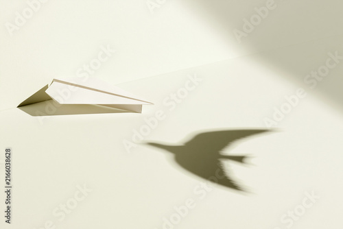 Paper airplane casting a bird shaped shadow surreal concept